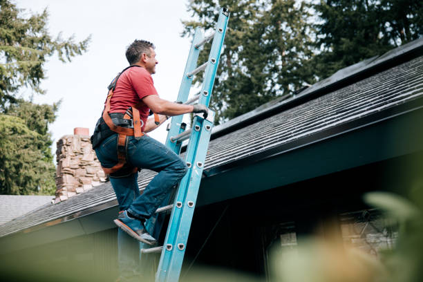 Best Roof Maintenance and Cleaning  in Paloma Creek, TX